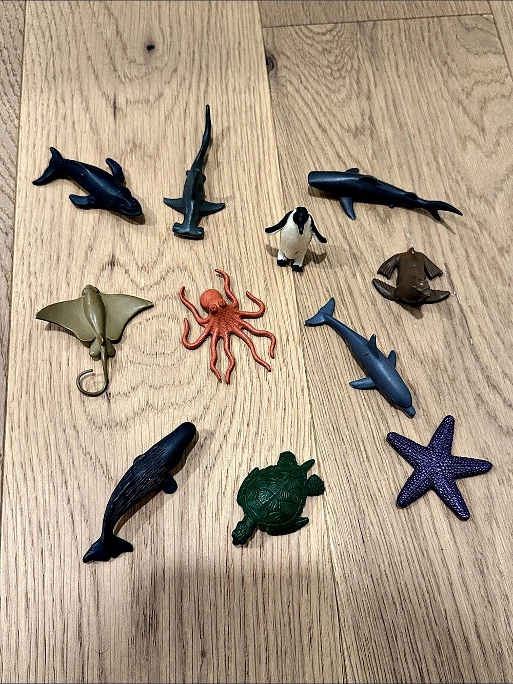 Safari Ltd Ocean TOOBS Ocean Animal Toy Figurines